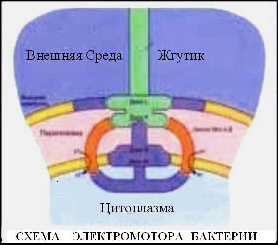 Глубинная книга - _1.jpg