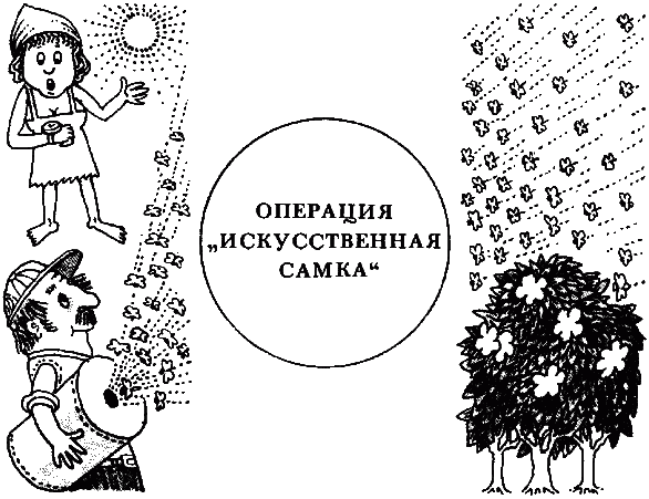 Химический язык насекомых - _103.png