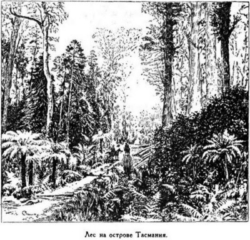 Мореплаватели XVIII века - pic_83.jpg