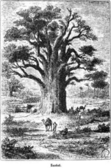 Мореплаватели XVIII века - pic_102.jpg