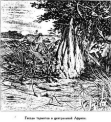 Мореплаватели XVIII века - pic_103.jpg