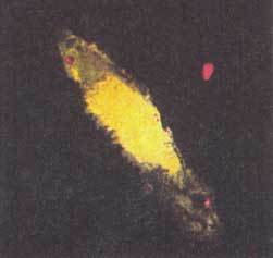 На космическом корабле - i_016.jpg