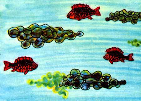 На космическом корабле - i_017.jpg