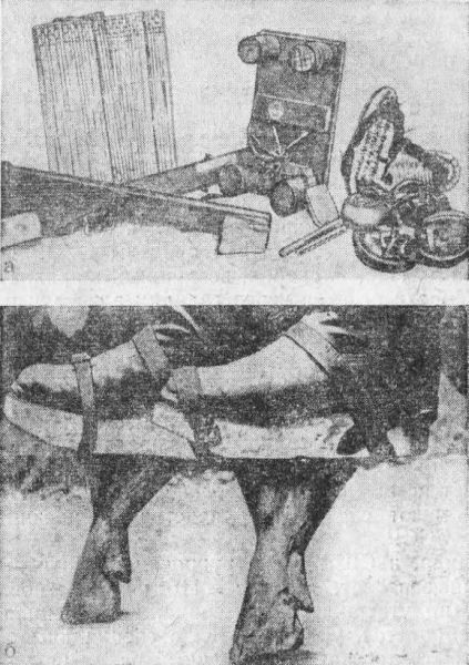 Тайна не только в сейфах - _12.jpg