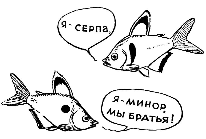 Мы и её величество ДНК - img_20.png