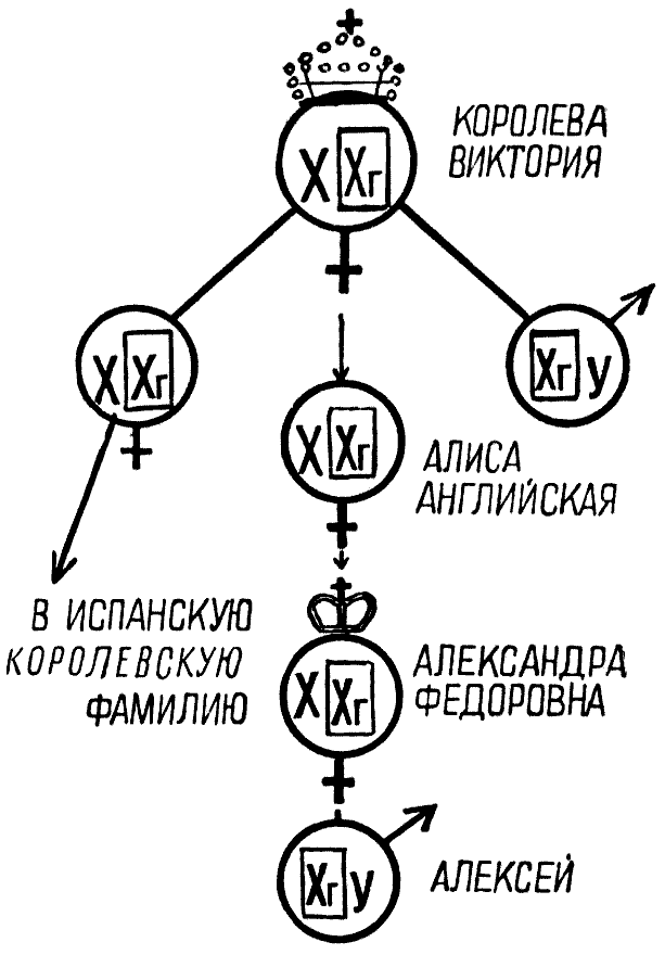 Мы и её величество ДНК - img_83.png