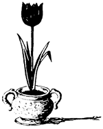 В Стране странностей - i_045.png