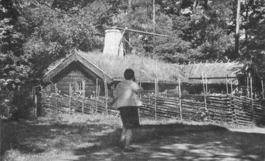 В Стране странностей - i_125.jpg