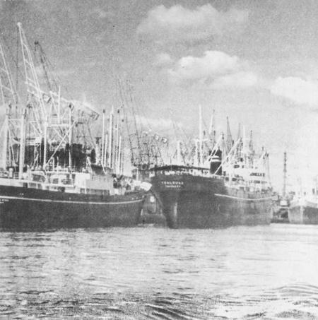 В Стране странностей - i_157.jpg