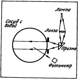 Свет в море - i_015.jpg