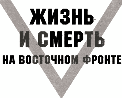 В авангарде танковых ударов. Фронтовой дневник стрелка разведывательной машины - i_001.png