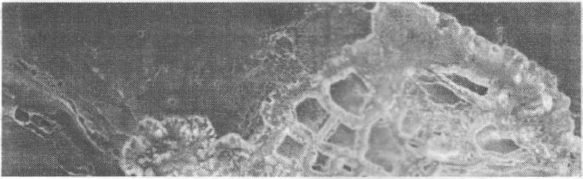 Темная миссия. Секретная история NASA - img_142.jpg