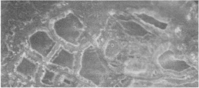 Темная миссия. Секретная история NASA - img_143.jpg