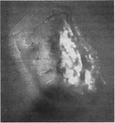 Темная миссия. Секретная история NASA - img_155.jpg