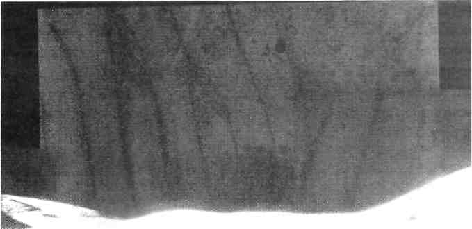 Темная миссия. Секретная история NASA - img_190.jpg