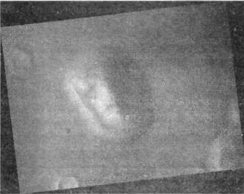 Темная миссия. Секретная история NASA - img_191.jpg