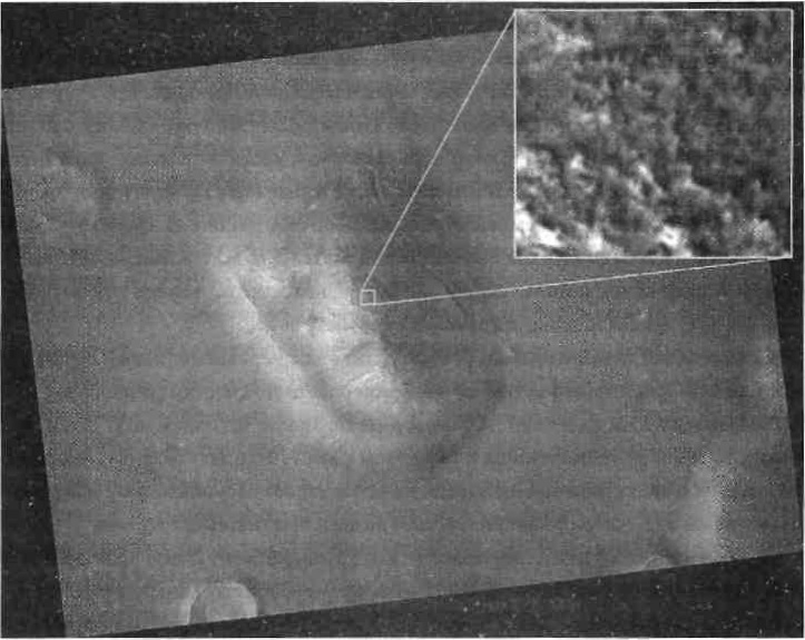 Темная миссия. Секретная история NASA - img_193.jpg