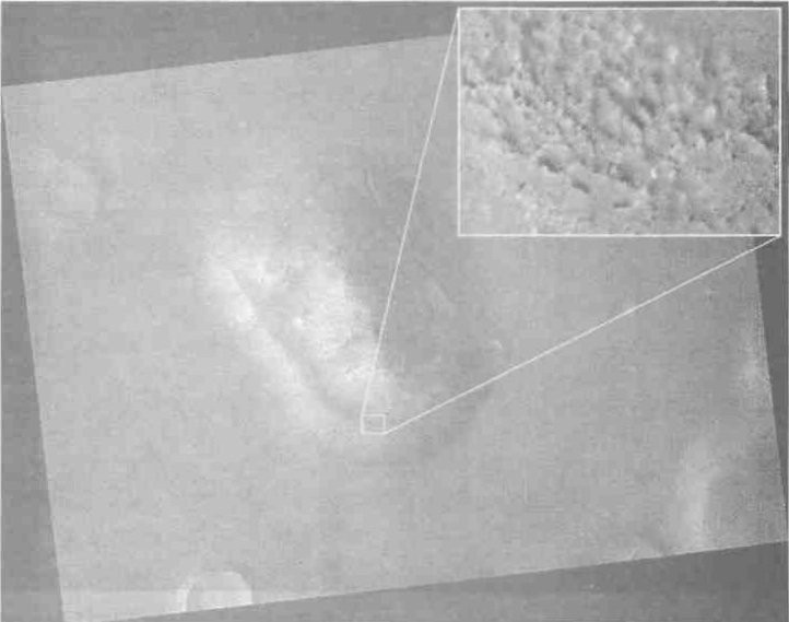 Темная миссия. Секретная история NASA - img_195.jpg