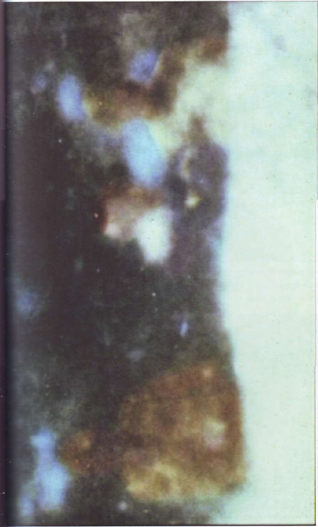 Темная миссия. Секретная история NASA - img_206.png