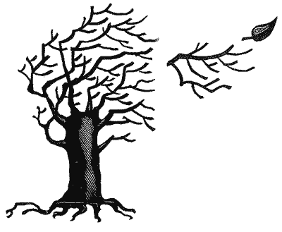 Стихи и проза - i_029.png