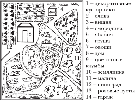 Огород. Как получить сверхурожай - _03.png