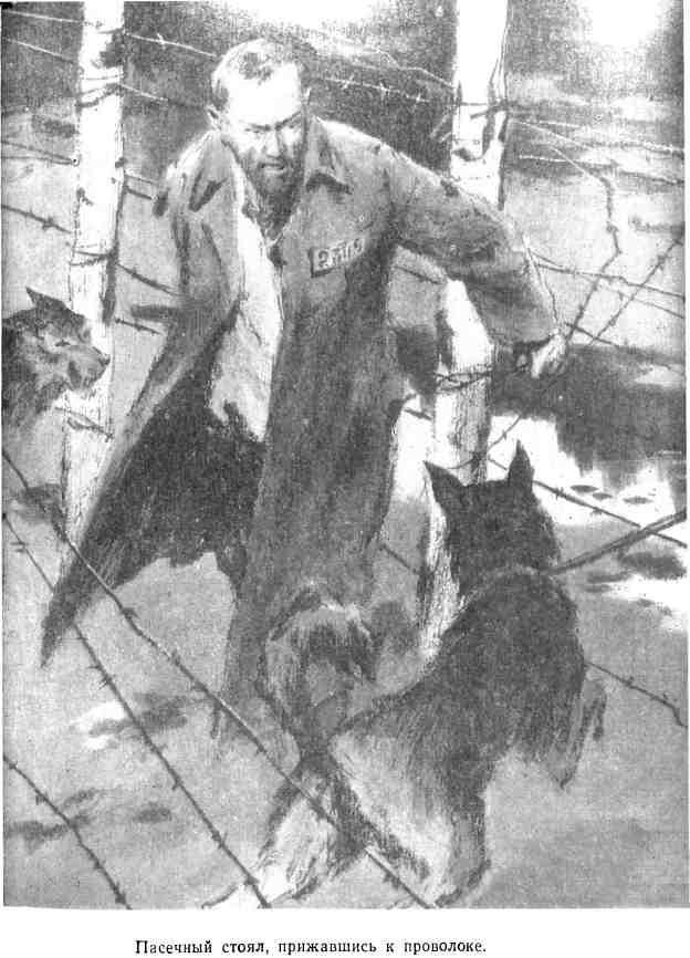 Военнопленные - img_7.jpeg