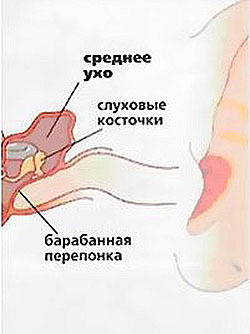 Звучание вашего голоса. Постановка и совершенствование голоса для пения и публичных выступлений - i_003.jpg