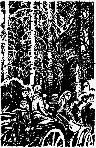 Голубые луга - nonjpegpng__6.png