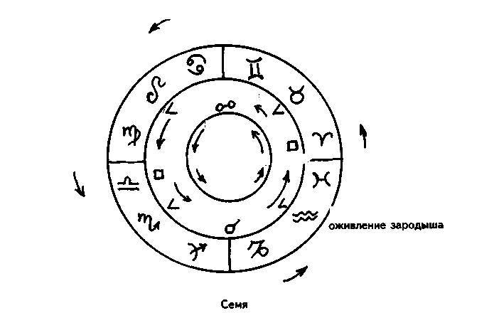 Мировая астрология - _18.jpg