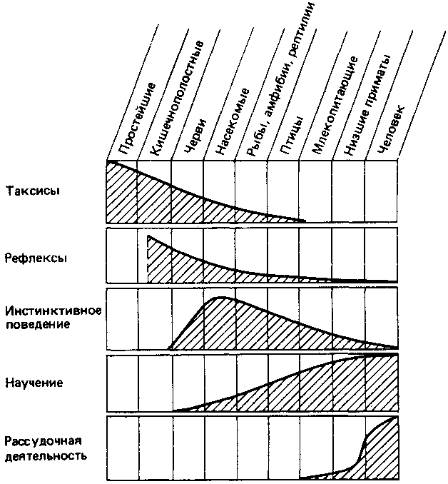 Что такое психология - img_13.png