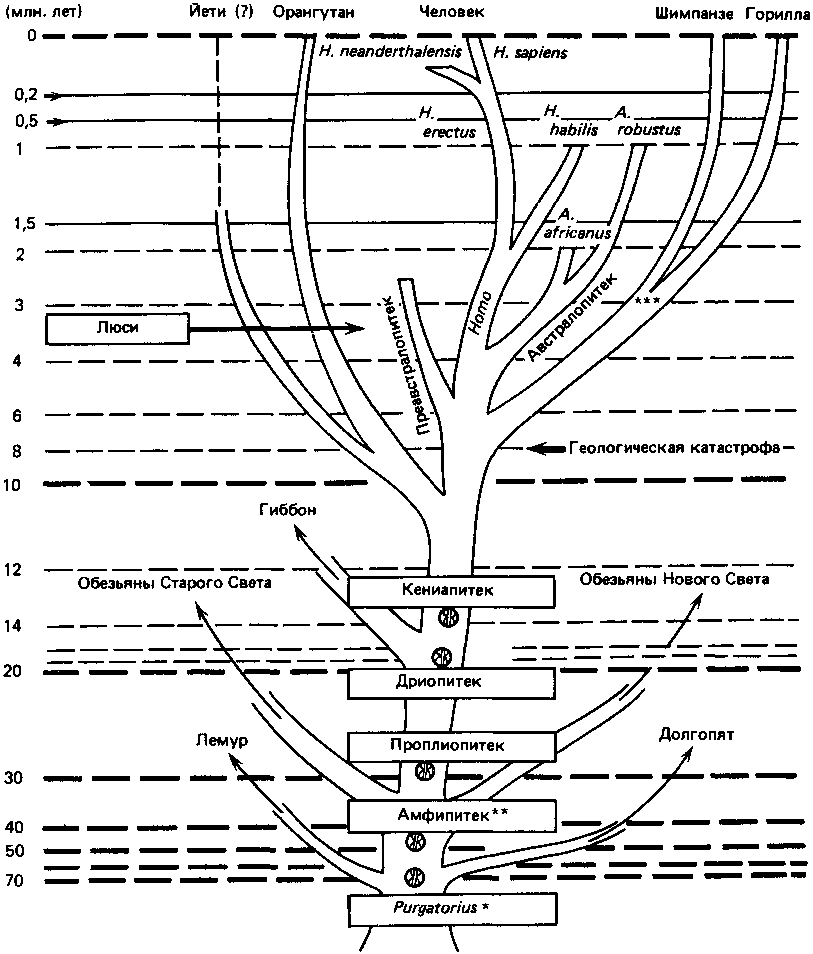 Что такое психология - img_16.png