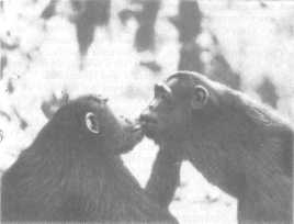 Что такое психология - img_29.jpg