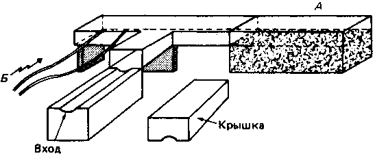 Что такое психология - img_6.png