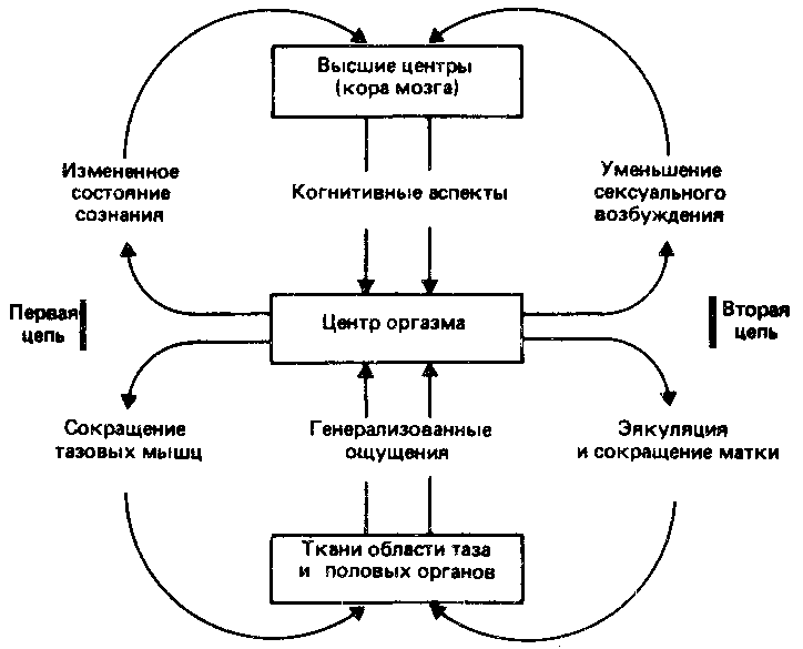 Что такое психология - img_97.png