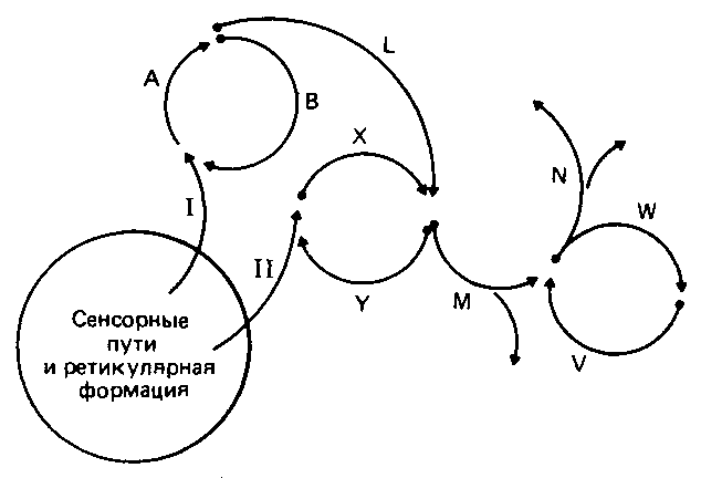 Что такое психология - img_135.png