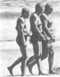 Что такое психология - img_190.jpg