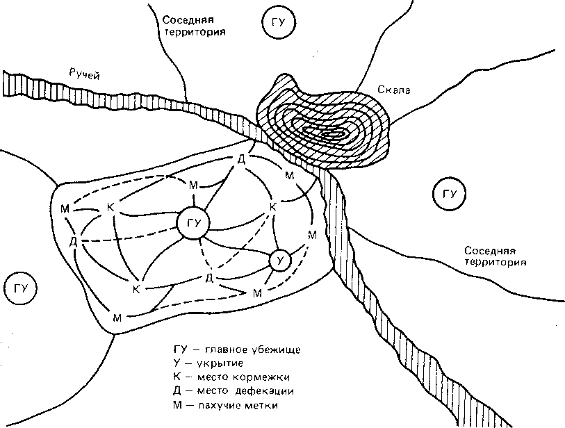 Что такое психология - img_202.png