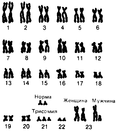 Что такое психология - img_230.png