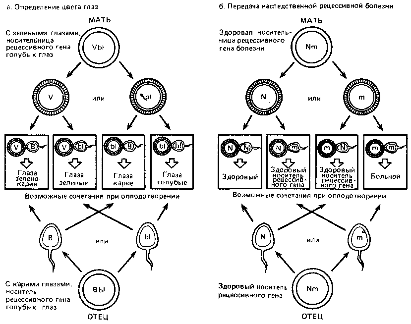 Что такое психология - img_232.png