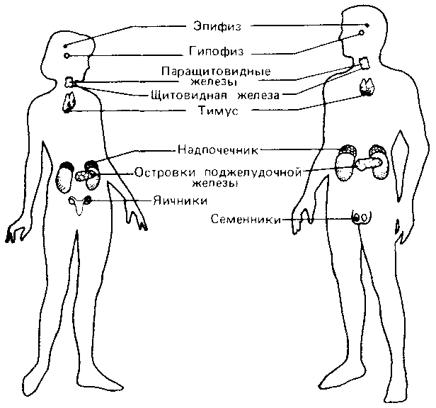 Что такое психология - img_247.png