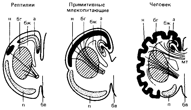 Что такое психология - img_253.png