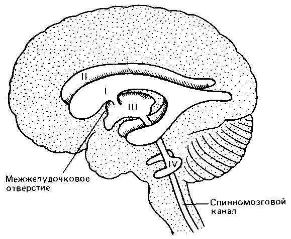 Что такое психология - img_255.png