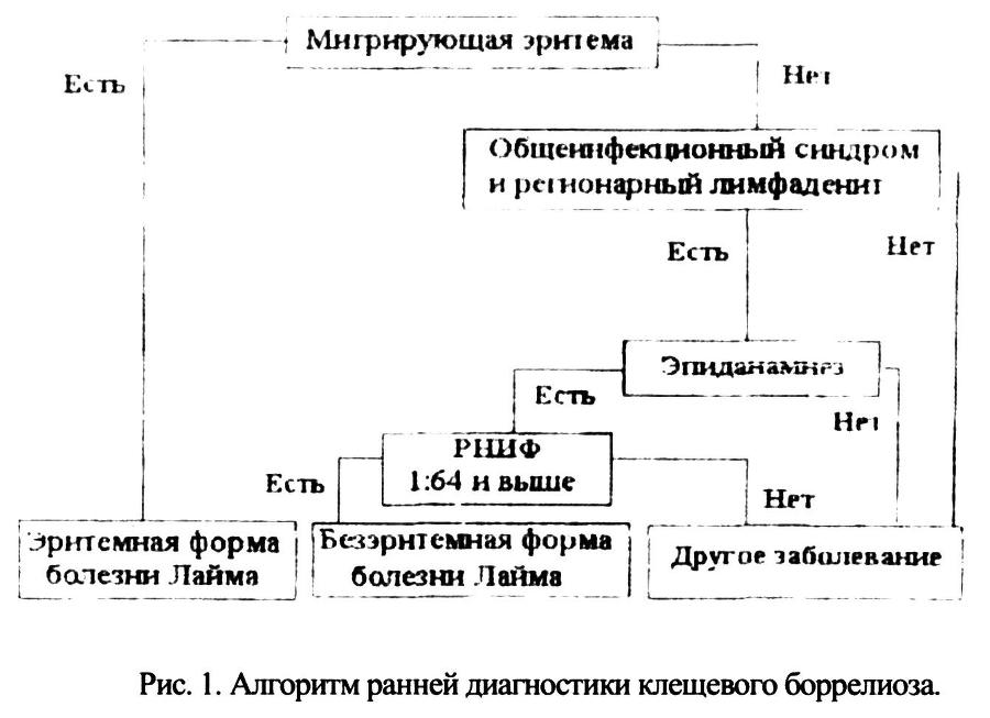 Инфекционные болезни и профилактика внутрибольничных инфекций - _2.jpg