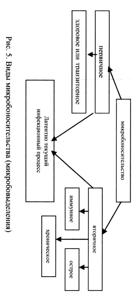 Инфекционные болезни и профилактика внутрибольничных инфекций - _6.jpg