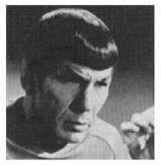 Я — Спок (СИ) - i13-leonard_nimoy_i_am_spock-15.jpg