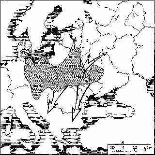 Киевская Русь и русские княжества XII -XIII вв. - _4.jpg