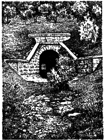 Жизнь рек - i_035.png