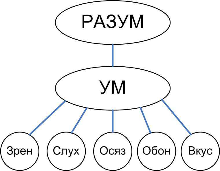 Анатомия ложного эго  - _3.jpg