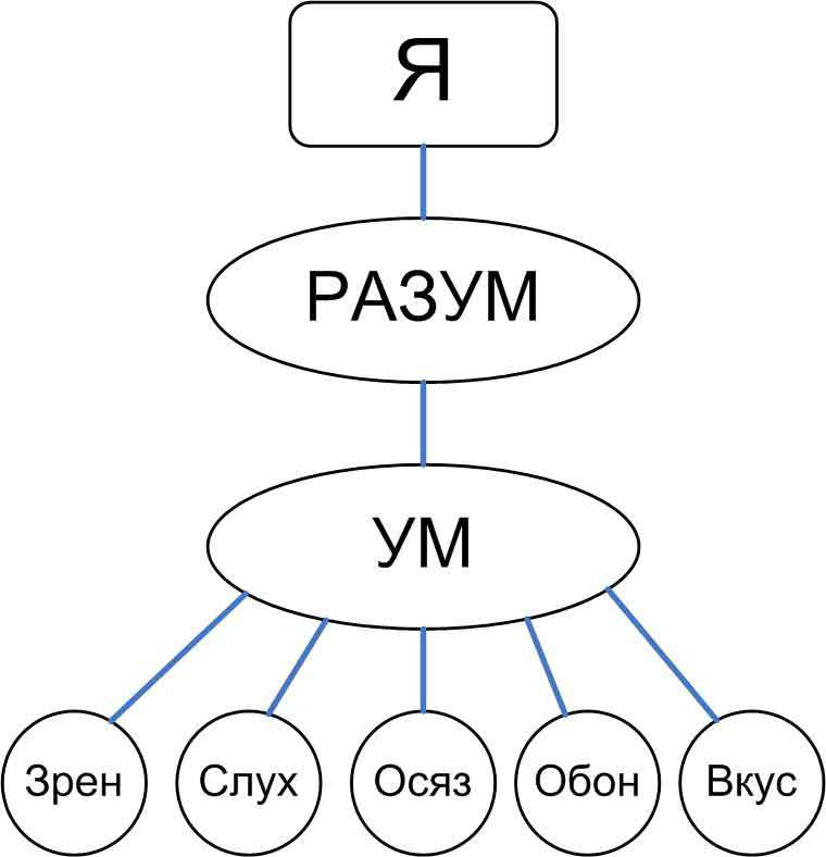 Анатомия ложного эго  - _8.jpg