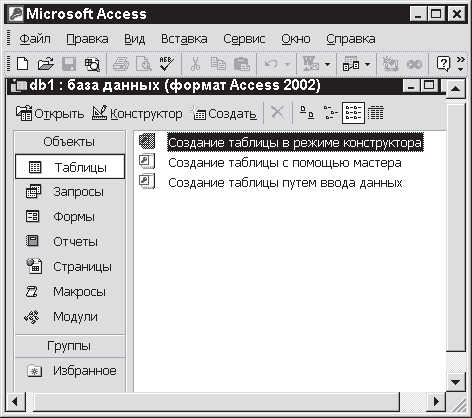 Access 2002. Самоучитель - i_003.png